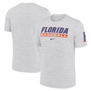 Florida Nike Dri-Fit Velocity Baseball Tee